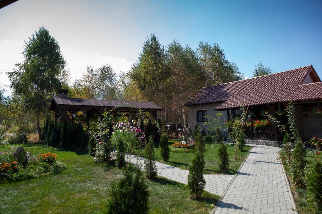 Hotel Pensiunea Royal Garden à Sîmbăta de Sus Extérieur photo